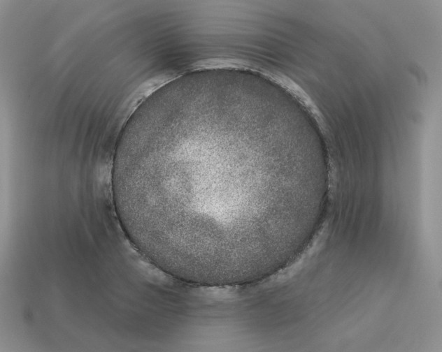 X0000113280937200910131002