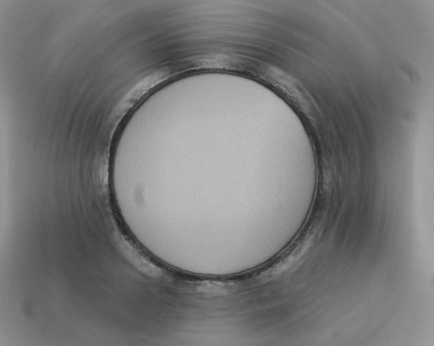 X0000113280938200910131002