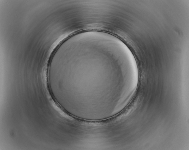 X0000113280941200910131002