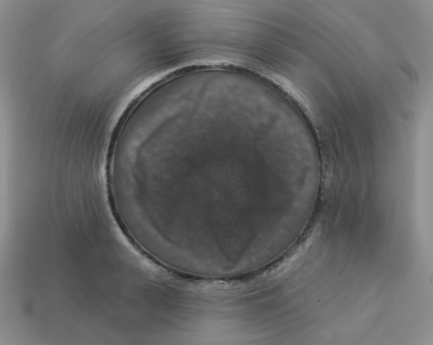 X0000113280943200910131002