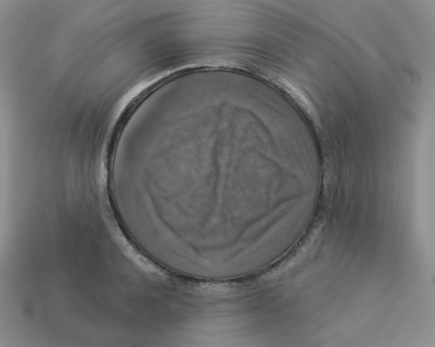 X0000113280944200910131002
