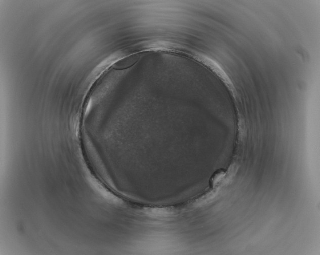 X0000113280946200910131002