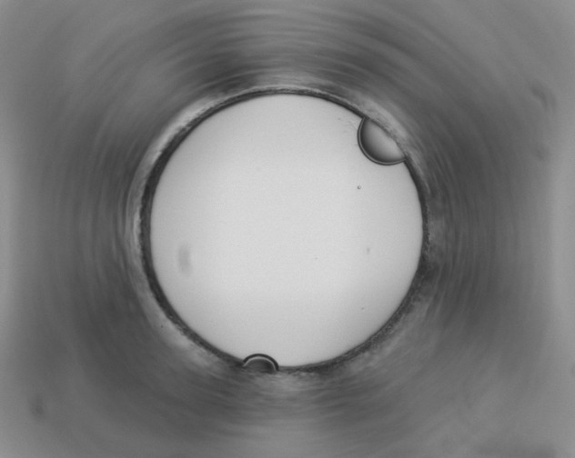X0000113280947200910131002
