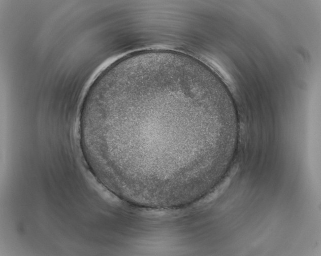 X0000113280948200910131002