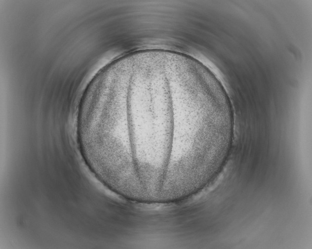 X0000113280949200910131002