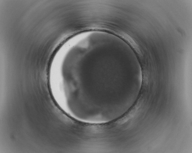 X0000113280950200910131002