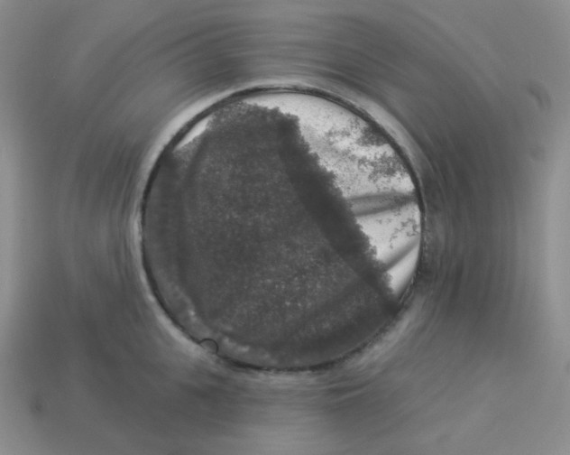 X0000113280951200910131002