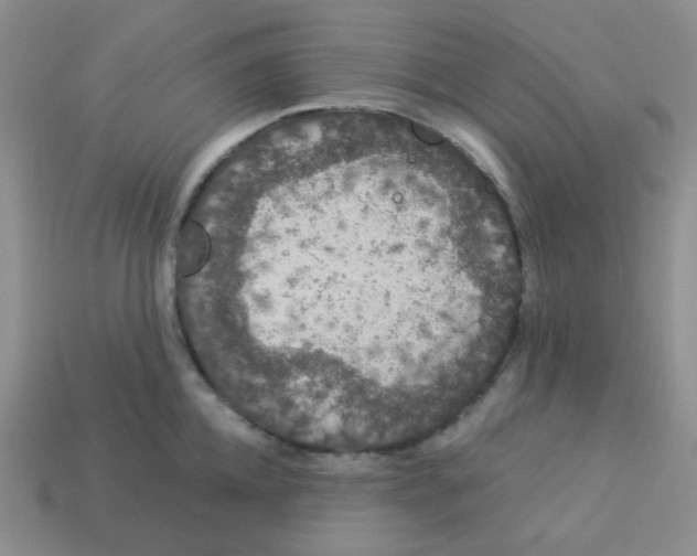 X0000113280952200910131002