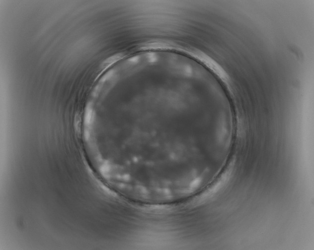 X0000113280953200910131002