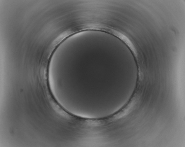 X0000113280954200910131002