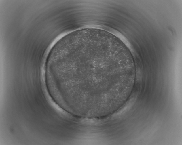 X0000113280955200910131002
