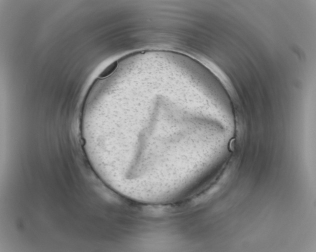 X0000113280956200910131002