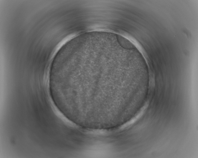 X0000113280957200910131002