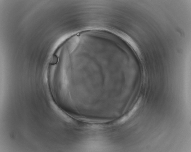X0000113280958200910131002