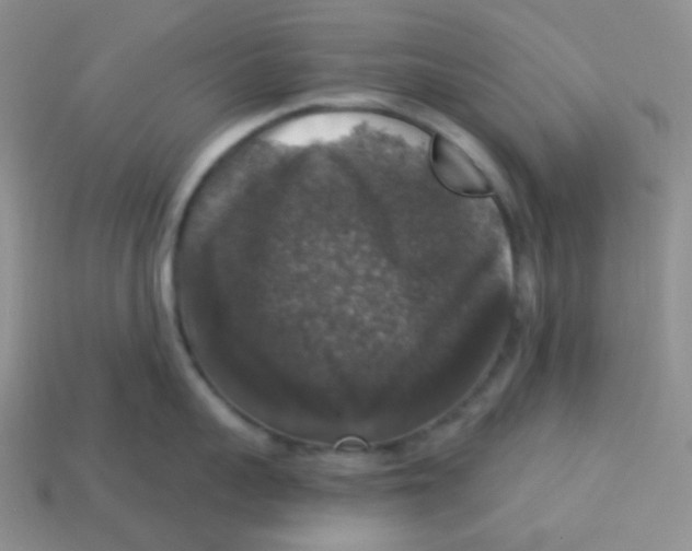 X0000113280959200910131002