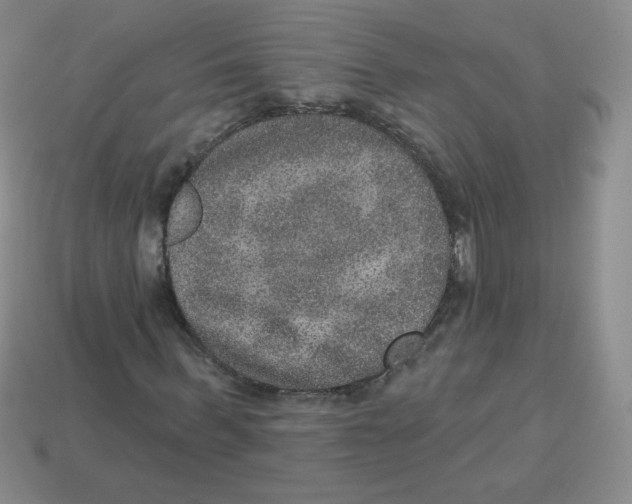 X0000113280963200910131002