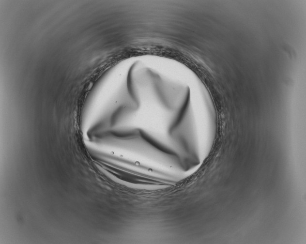 X0000113280965200910131002