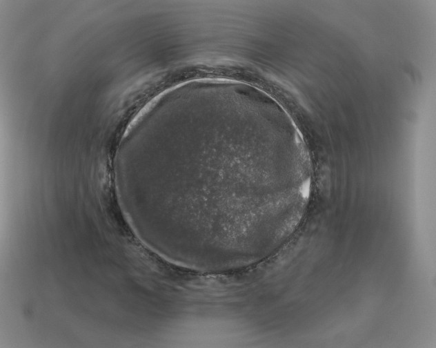 X0000113280966200910131002