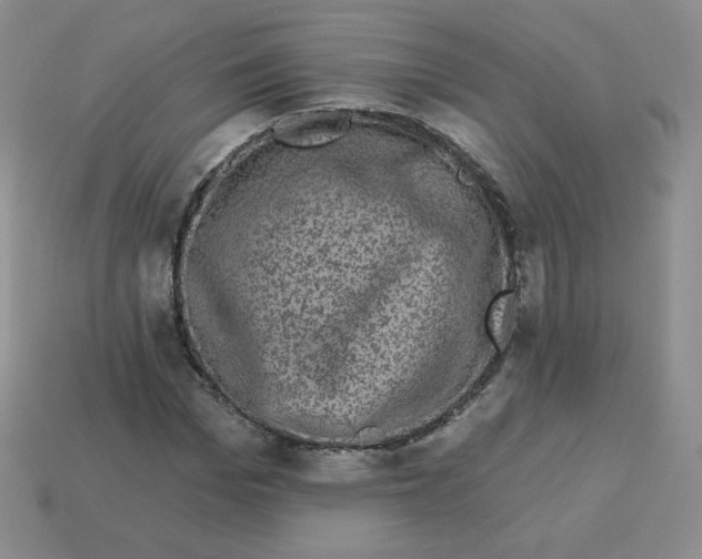 X0000113280969200910131001
