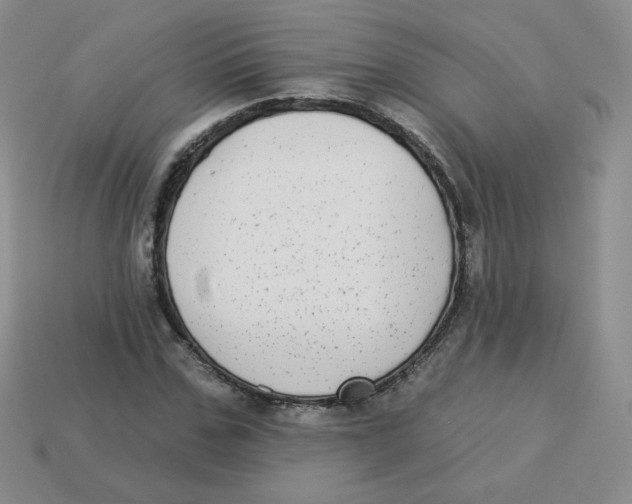 X0000113280971200910131001