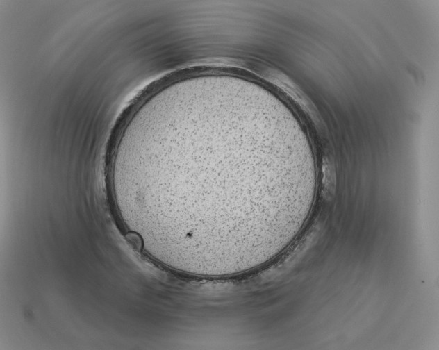 X0000113280972200910131001