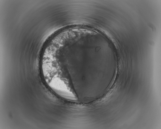 X0000113280975200910131001