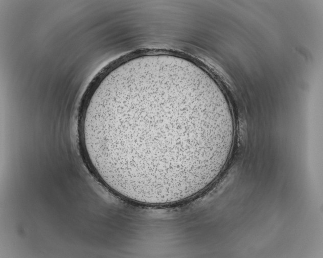 X0000113280976200910131001