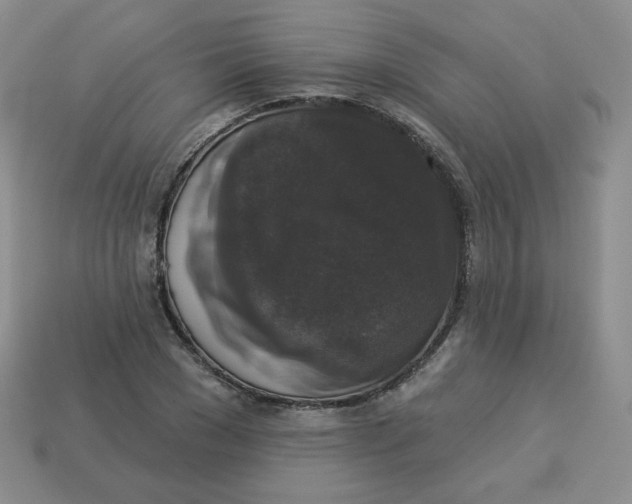 X0000113280977200910131001