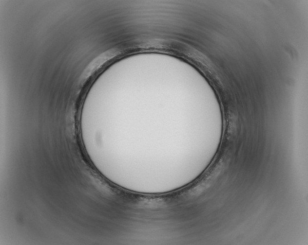 X0000113280978200910131001