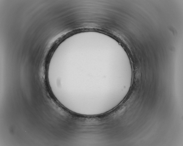 X0000113280979200910131001