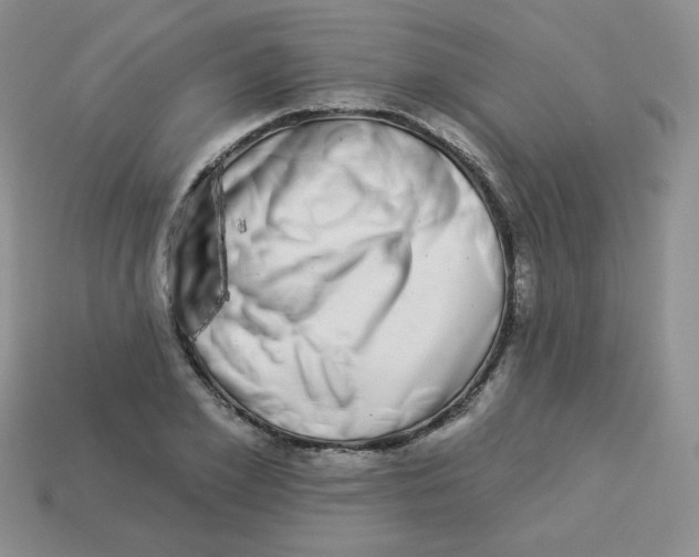 X0000113280981200910131001