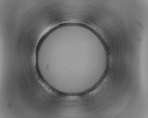 X0000113280982200910131001