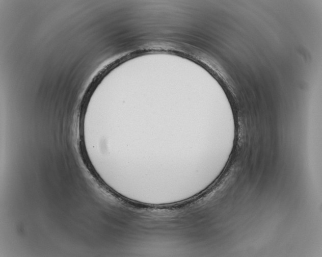 X0000113280984200910131001
