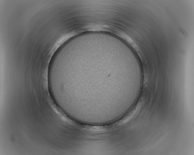 X0000113280986200910131001