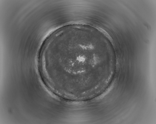 X0000113280989200910131001