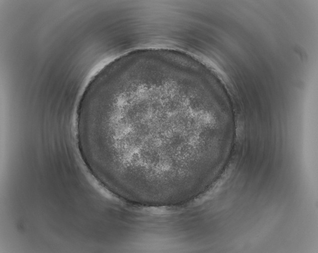 X0000113280990200910131001