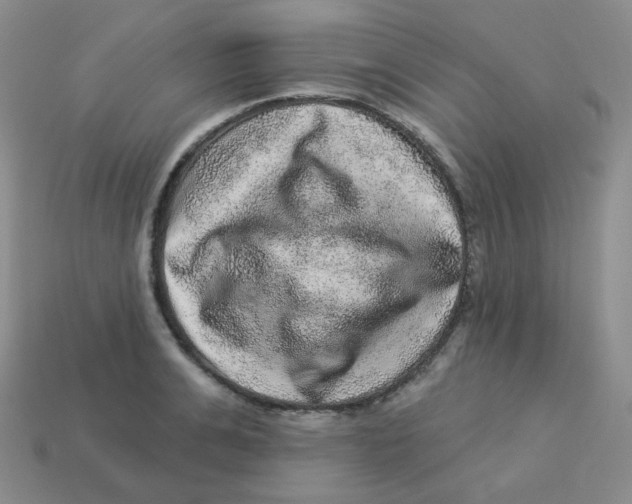 X0000113280991200910131001