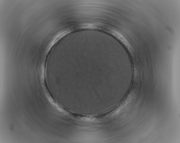 X0000113280994200910131001