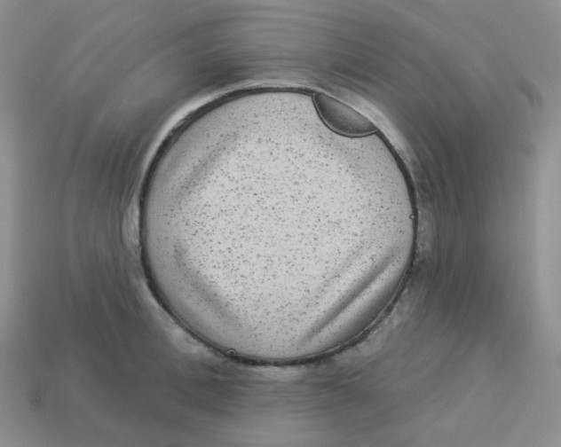X0000113280996200910131001