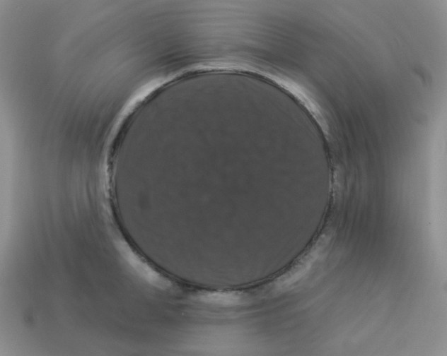 X0000113280998200910131001
