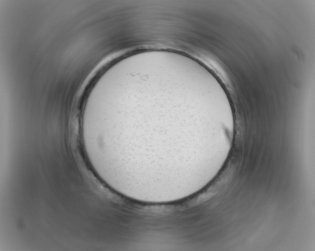 X0000113281000200910131001