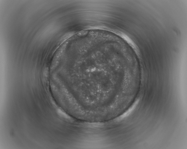 X0000113281001200910131001
