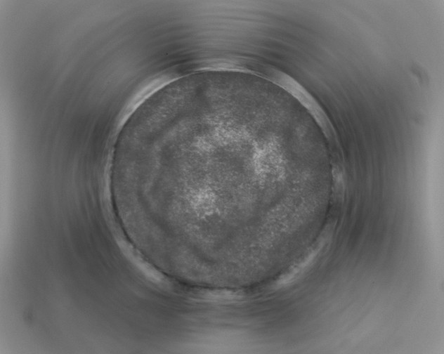 X0000113281002200910131001