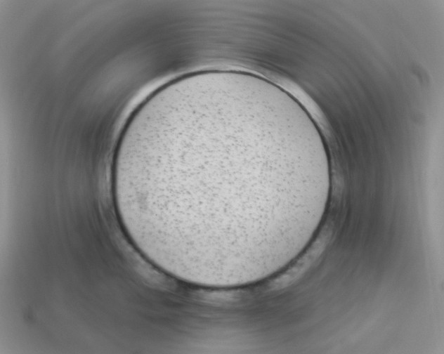 X0000113281004200910131001