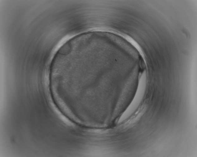 X0000113281005200910131001