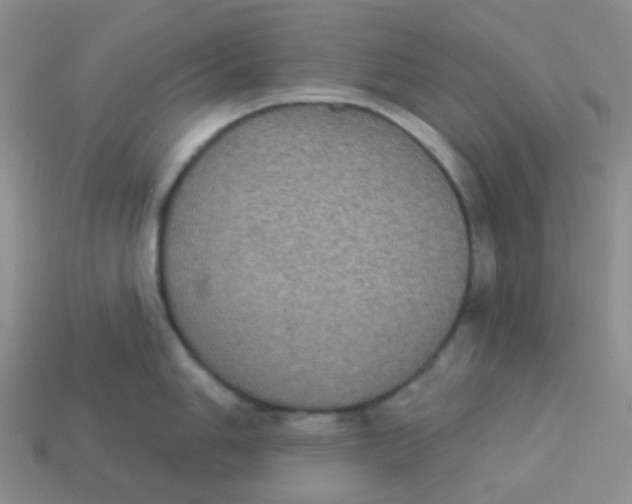 X0000113281006200910131001
