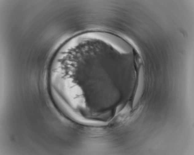 X0000113281007200910131001