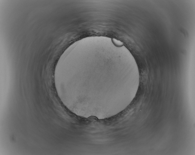 X0000113281009200910131000