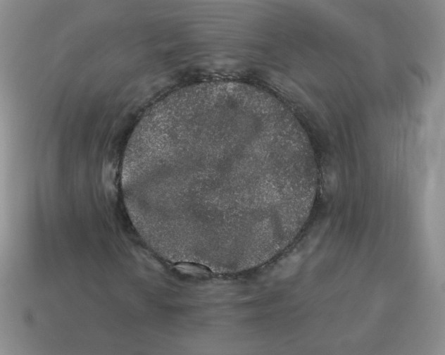 X0000113281010200910131000