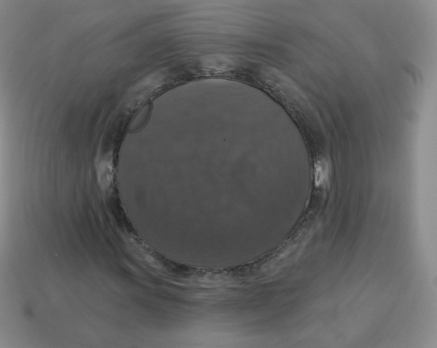 X0000113281011200910131000